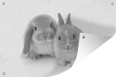Tuinposter - Tuindoek - Tuinposters buiten - Twee konijnen - zwart wit - 120x80 cm - Tuin