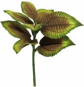 Medina Kunstplant Begonia Rex Maribel 27 Cm Zijde Groen