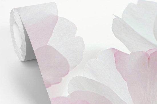 Papier peint photo vinyle - Macro photo de fleur de cerisier largeur 240 cm x hauteur 240 cm - Tirage photo sur papier peint (disponible en 7 tailles)