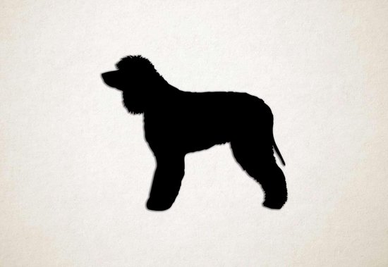 Décoration murale - Chien - Irish Water Spaniel 1 - S - 45x54cm - Zwart - décoration murale - Line Art