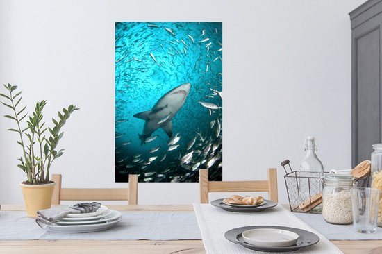 Stickers muraux - Un requin parmi les poissons - 60x90 cm - Film adhésif
