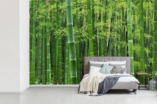 Papier peint - Papiers Papier peint photo - Forêt de bambous - Largeur 390 cm x Hauteur 260 cm