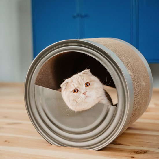 District 70 CAN - Krabmeubel voor katten van karton - 36,5 x 40 x 38 cm