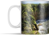 Mok - Bossen in het Nationaal park Paparoa in Australië - 350 ml - Beker