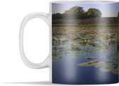 Mok - Waterlelie in het Limburgse Nationaal Park De Meinweg - 350 ml - Beker