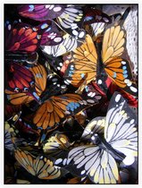 Palette van Kleurrijke Vlinders - Foto op Akoestisch paneel - 150 x 200 cm
