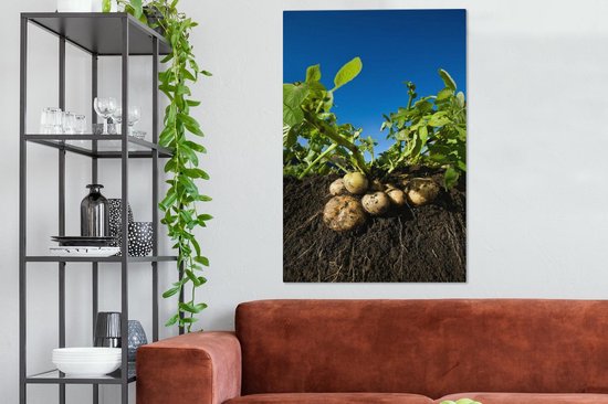 Canvas schilderij 90x140 cm - Wanddecoratie Aardappel - Modder - Planten - Bladeren - Muurdecoratie woonkamer - Slaapkamer decoratie - Kamer accessoires - Schilderijen