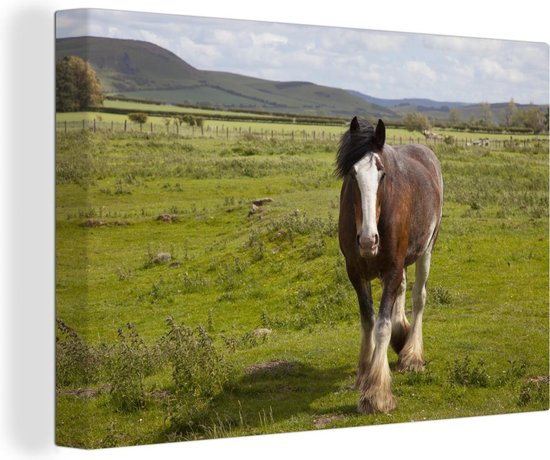 Canvas Schilderij Clydesdale - grasland - Paarden - 120x80 cm - Wanddecoratie - OneMillionCanvasses