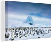 Pingouins en Antarctique 90x60 cm - Tirage photo sur toile (Décoration murale salon / chambre)