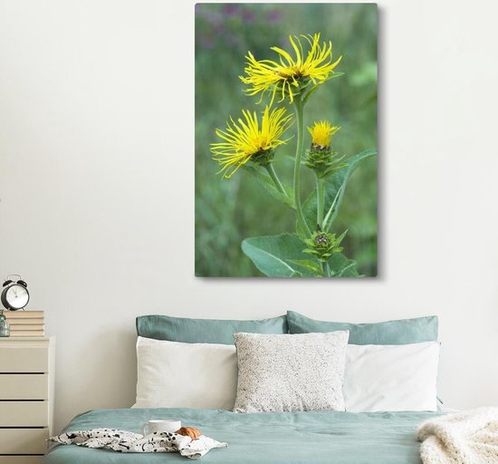 Fleur d'Alant jaune entre la haute herbe verte Toile 120x180 cm - Tirage photo sur toile (Décoration murale salon / chambre) XXL / Groot format!