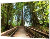 Wandpaneel Natuurlijk landschap bomen groen  | 150 x 100  CM | Zwart frame | Wandgeschroefd (19 mm)