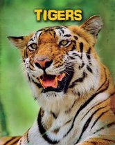 Living in the Wild: Big Cats - Tigers