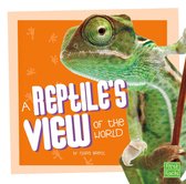 Pet Perspectives - A Reptile's View of the World
