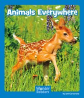 Wonder Readers Emergent Level - Animals Everywhere