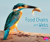 Life Science - Food Chains and Webs