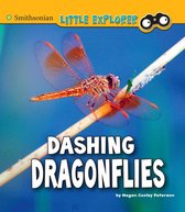 Little Entomologist 4D - Dashing Dragonflies