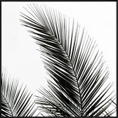 JUNIQE - Poster in kunststof lijst Palm Leaves 1 -30x30 /Groen & Wit