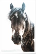 JUNIQE - Poster Horse -40x60 /Bruin & Ivoor