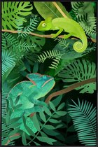 JUNIQE - Poster in kunststof lijst Chameleons -40x60 /Groen