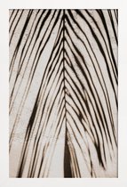 JUNIQE - Poster in houten lijst Palmschaduw -30x45 /Bruin & Ivoor