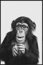 JUNIQE - Poster in kunststof lijst Chimpanzee II -60x90 /Grijs & Zwart