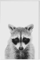 JUNIQE - Poster in kunststof lijst Raccoon Classic -40x60 /Wit & Zwart