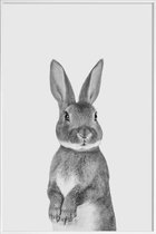 JUNIQE - Poster met kunststof lijst Paws & Claws	Bunny -60x90 /Wit &