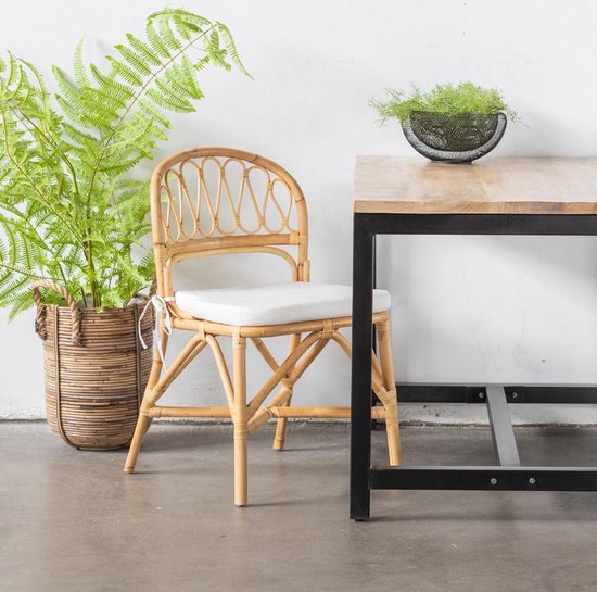 Chaise de salle à manger en rotin - Naturel - 50x48x82cm - Chaise de salle  à manger... | bol.com