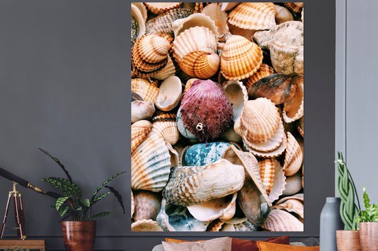 Sticker Muursticker Coquillages - Coquillages de Grèce - 120x160 cm - film autocollant - sticker mural repositionnable XXL /