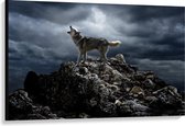 Canvas  - Huilende Wolf op Rots - 120x80cm Foto op Canvas Schilderij (Wanddecoratie op Canvas)