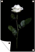 Muurdecoratie Een witte roos op een zwarte achtergrond - 120x180 cm - Tuinposter - Tuindoek - Buitenposter