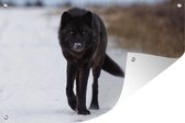 Muurdecoratie Wolf - Sneeuw - Zwart - 180x120 cm - Tuinposter - Tuindoek - Buitenposter