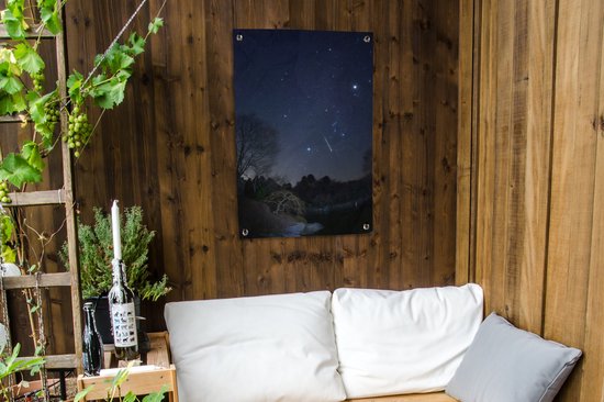 Vallende ster boven een Japanse tuin met een vijver en kale bomen.