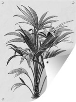 Muurdecoratie buiten Een zwart-wit illustratie van een plant - 120x160 cm - Tuindoek - Buitenposter