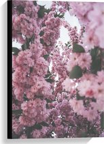 Canvas  - Roze Bloemen Takken - 40x60cm Foto op Canvas Schilderij (Wanddecoratie op Canvas)