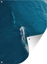 Tuin decoratie Bovenaanzicht van walvissen in de zee - 30x40 cm - Tuindoek - Buitenposter