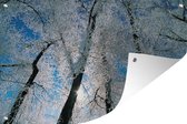 Muurdecoratie Door vorst bedekte bomen - 180x120 cm - Tuinposter - Tuindoek - Buitenposter