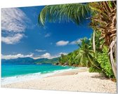 Wandpaneel Wit Zandstrand Tropisch Eiland  | 120 x 80  CM | Zwart frame | Wand-beugels (27 mm)
