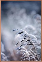 JUNIQE - Poster met kunststof lijst Frosty Morning 5 -30x45 /Blauw &