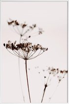 JUNIQE - Poster in kunststof lijst Dried Flowers Anetum 2A -40x60