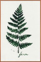 JUNIQE - Poster met kunststof lijst Fern -40x60 /Groen & Ivoor