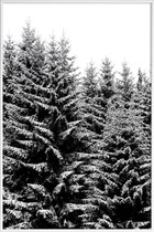 JUNIQE - Poster met kunststof lijst Besneeuwde kerstbomen -30x45