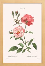 JUNIQE - Poster met houten lijst Rosier - Toujours Fleuri -13x18