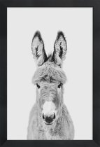 JUNIQE - Poster in houten lijst Donkey Classic -20x30 /Wit & Zwart