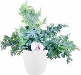 Phlebodium ‘Davana’ in ELHO sierpot (wit) ↨ 48cm - planten - binnenplanten - buitenplanten - tuinplanten - potplanten - hangplanten - plantenbak - bomen - plantenspuit