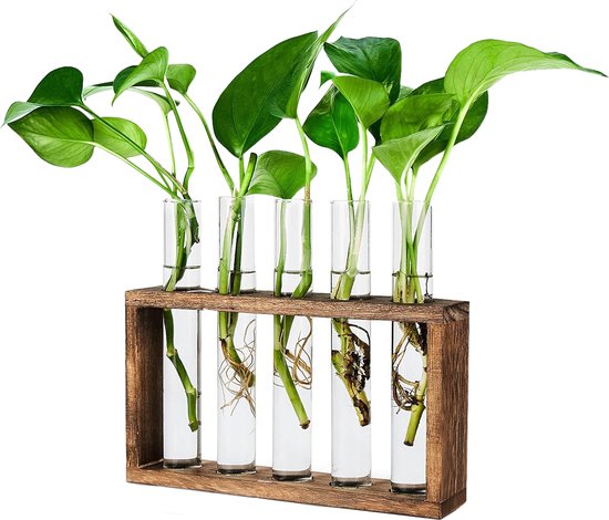 YUGN Stekstation met 5 Reageerbuisjes - 23x12.5 cm - Houtmateriaal - Inclusief...