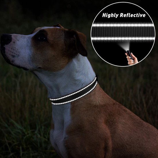 Ben&Bruno Hondenhalsband, breed en verstelbaar, 100% handgemaakt, robuust, veilig en duurzaam, sterke paracord-halsband, halsbanden voor kleine, middelgrote en grote honden, groen, XL