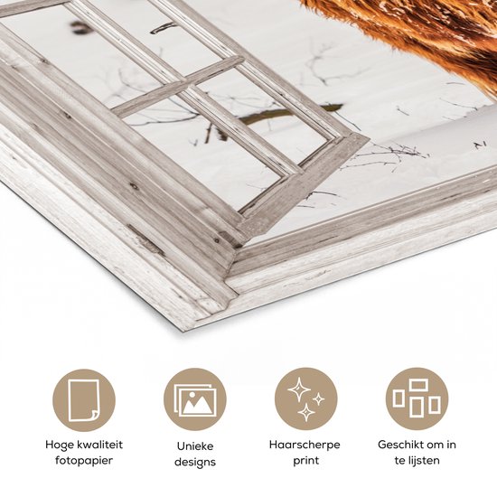 Affiche 30x20 cm - Highlander écossais - Neige - Hiver - Nature - Animal - Vue - Rural - Posters - Décoration de chambre - Décoration murale de salon - Décoration murale de chambre