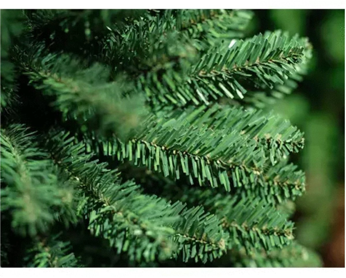 Treb Classic Pencil Pine Kunstkerstboom - 180 cm hoog - Zonder verlichting – foto 3