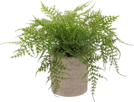 Maak je eigen kunstmatige plantenmuur: Een groen paradijs